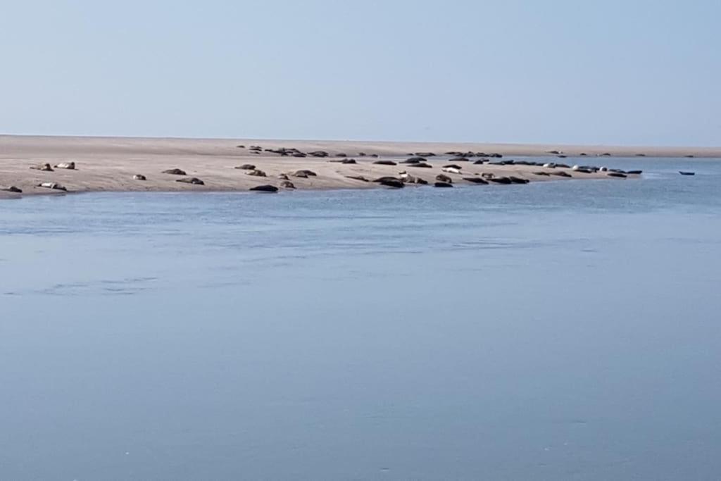 Maison Berckoise Belle Epoque - Plage Et Centre المظهر الخارجي الصورة